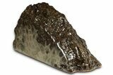 Free-Standing, Petoskey Stone (Fossil Coral) Section - Michigan #357002-2